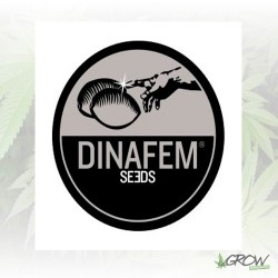 Dinafem Mix - 5 Seeds
