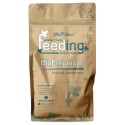 Enhancer Additive Feeding Green House  - 125g 