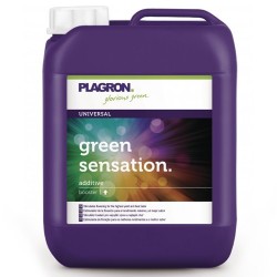 Green Sensation Plagron - 10L