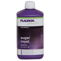 Sugar Royal Plagron - 500ml
