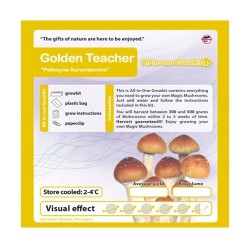 GrowKit Golden Teacher - 250cc