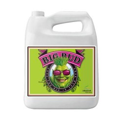 Big Bud Advanced Nutrients...