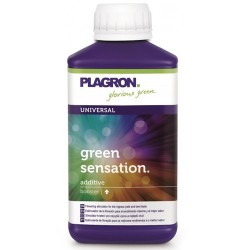 Green Sensation Plagron -...