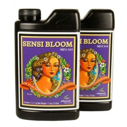 Sensi Bloom A Advanced...