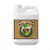 Big Bud Coco Liquid Advanced Nutrients - 500ml