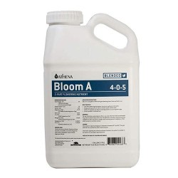 Bloom A Blended Athena - 3,78L