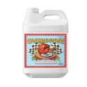 Overdrive Advanced Nutrients - 5L