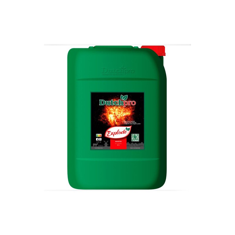 Explode Dutch Pro - 5L