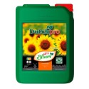 Ph - Bloom Dutch Pro - 5L