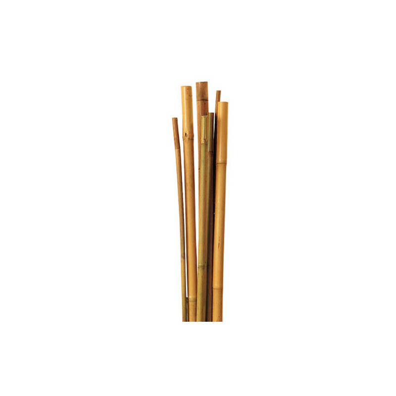 Tutor Bambú 1m - 1 Ud.