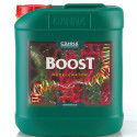 Canna Boost Accelerator Canna - 10L
