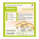 GrowKit Mexican - 1200cc