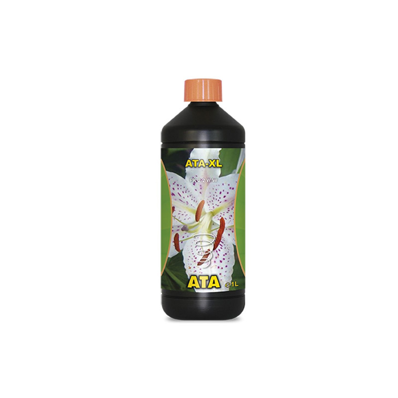 ATA-XL Atami - 1L