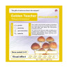 GrowKit Golden Teacher - 250cc