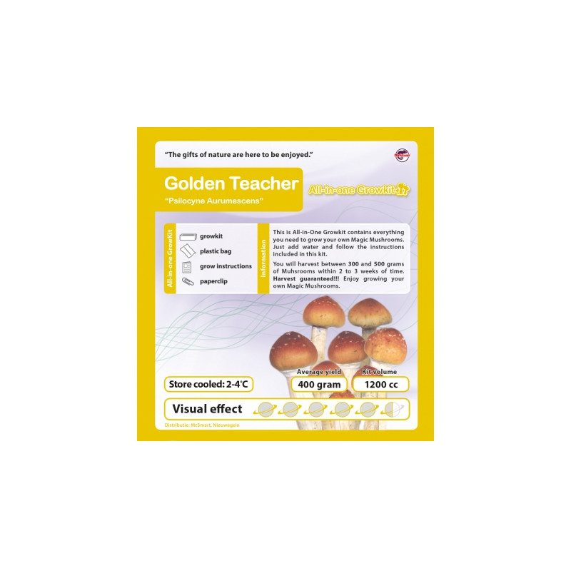 GrowKit Golden Teacher - 1200cc