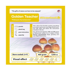 GrowKit Golden Teacher - 2100cc