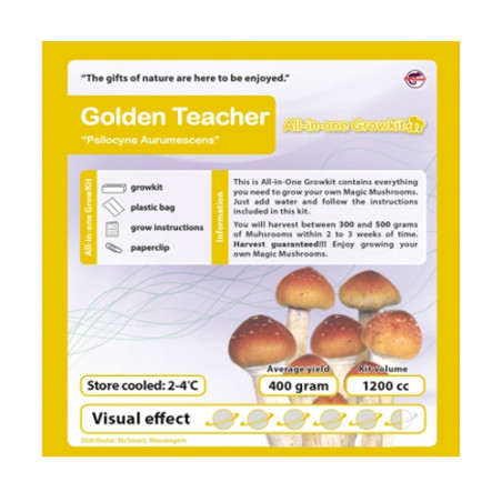 GrowKit Golden Teacher - 2100cc