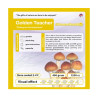 GrowKit Golden Teacher - 2100cc