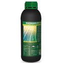 Bachumus Evolution-C Trabe - 1L