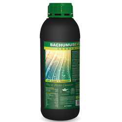 Bachumus Evolution-C Trabe - 1L