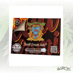 Devil Cream Auto® Sweet Seeds - 3 Seeds