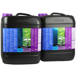 Hydro A+B B'cuzz Atami - 10L