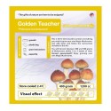 GrowKit Golden Teacher - 1200cc