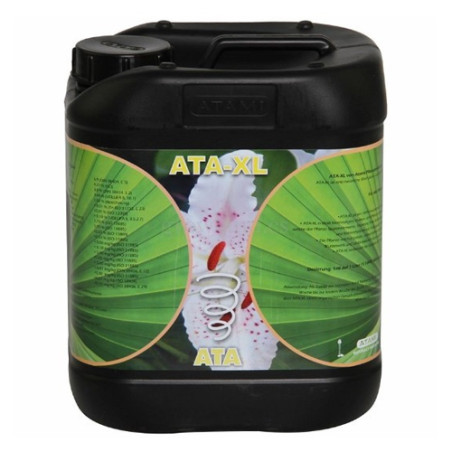ATA-XL Atami - 5L