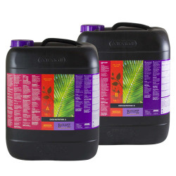 Coco A+B  B'cuzz Atami - 10L