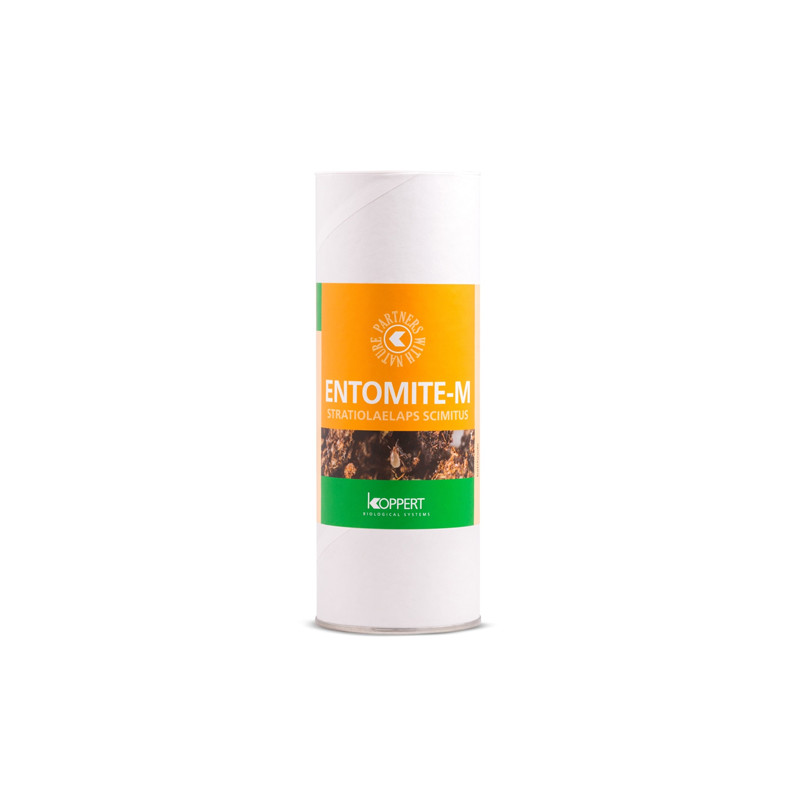 Entomite-M 10000 Hypoaspis Miles Koppert