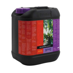 Coco Booster B'Cuzz Atami - 5L