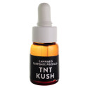 Terpenos TNT Kush Cali Terpenes - 1ml