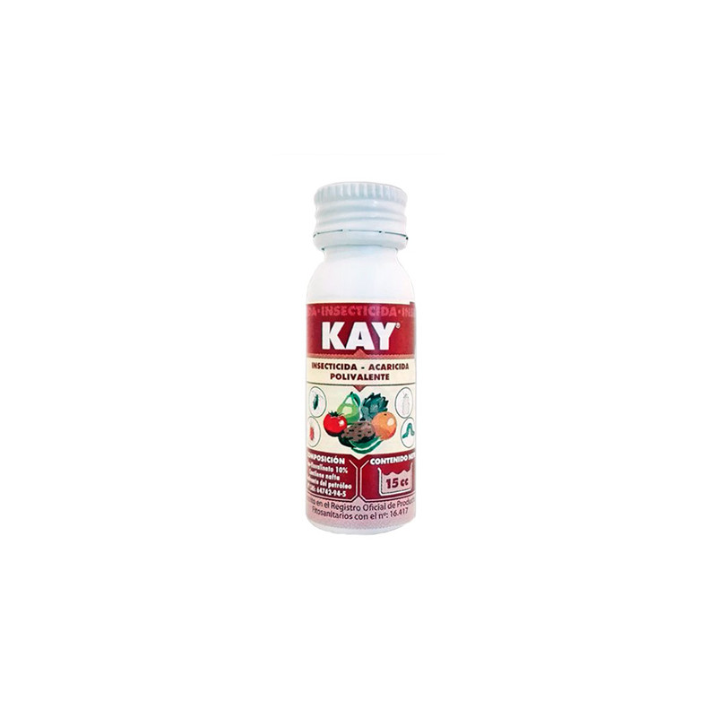 Kay 24 JED Massó - 8cc