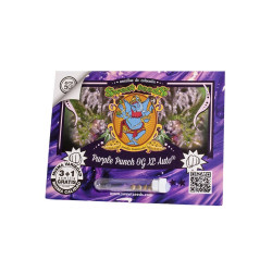 Purple Punch OG XL Auto Sweet Seeds - 3 seeds