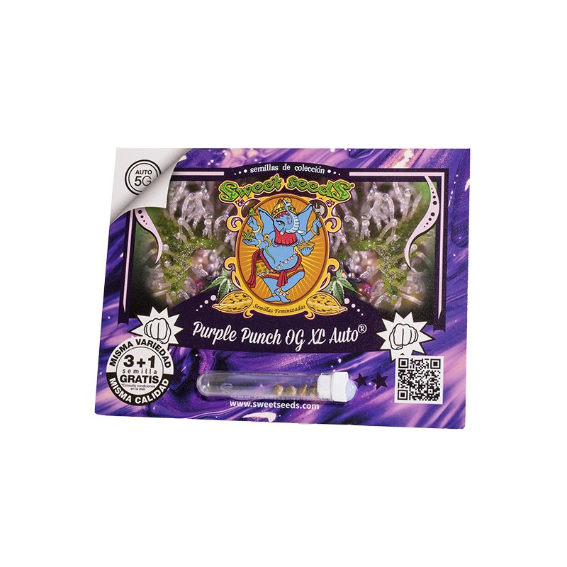 Purple Punch OG XL Auto Sweet Seeds - 3 seeds