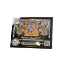 Skywalker OG Runtz XL Sweet Seeds - 3 seeds