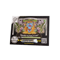Skywalker OG Runtz XL Sweet Seeds - 3 seeds