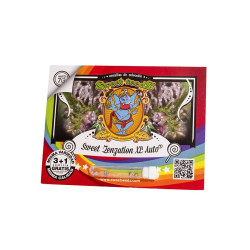Sweet Zenzation XL Auto Sweet Seeds - 3 seeds