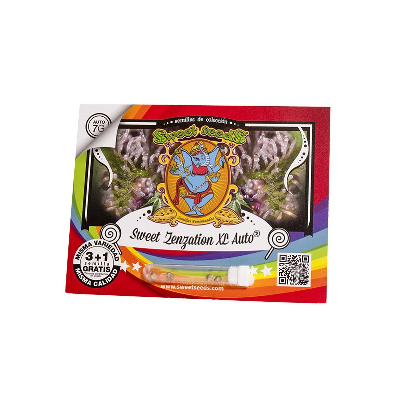 Sweet Zenzation XL Auto Sweet Seeds - 3 seeds