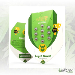 Royal Dwarf Royal Queen Seeds - 3 Seeds