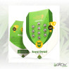 Royal Dwarf Royal Queen Seeds - 1 Seed
