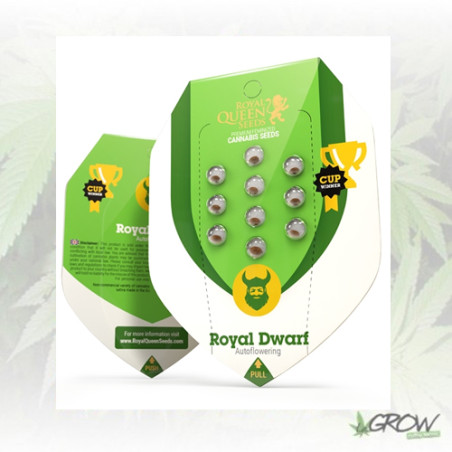 Royal Dwarf Royal Queen Seeds - 5 Seeds