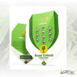 Royal Critical Auto Royal Queen Seeds - 10 Seeds