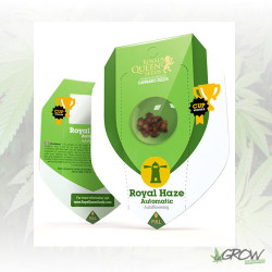 Royal Haze Auto Royal Queen Seeds - 5 Seeds