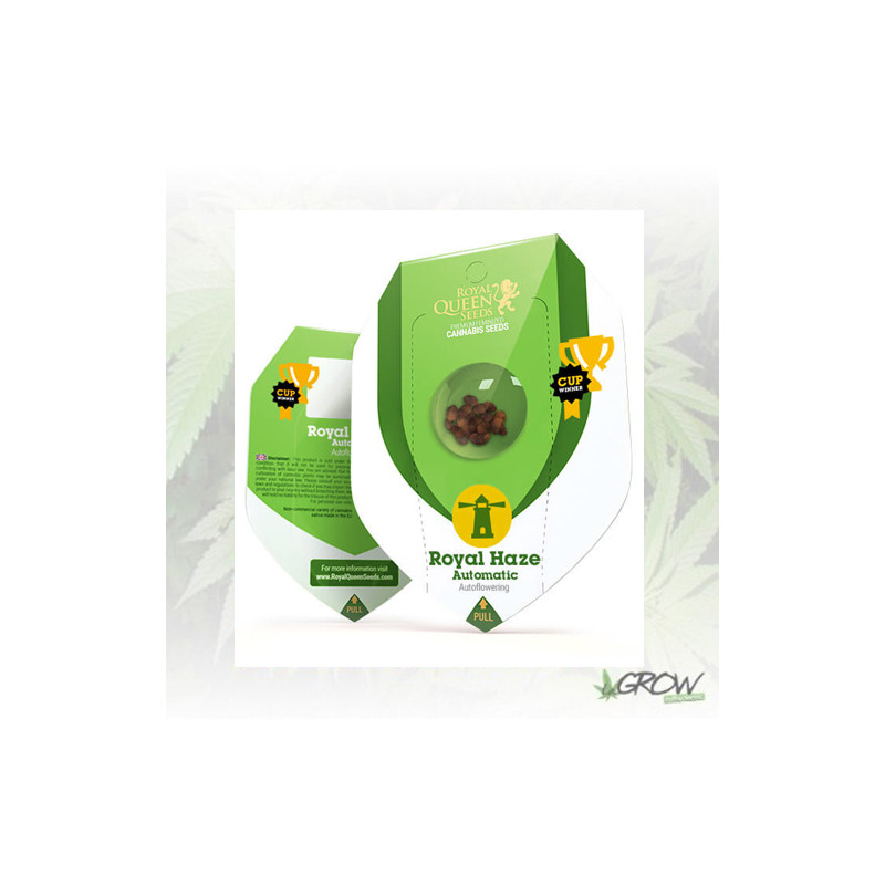 Royal Haze Auto Royal Queen Seeds - 3 Seeds