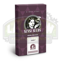 Afghani -1 Sensi Seeds - 10 Seeds