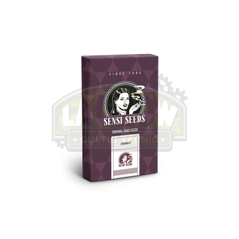 Afghani -1 Sensi Seeds - 10 Seeds