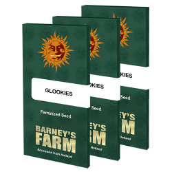 Glookies Barney's Farm - 10 Seeds