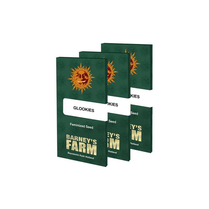 Glookies Barney's Farm - 10 Seeds