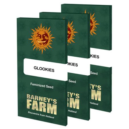 Glookies Barney's Farm - 10 Seeds